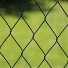 Galvanized /vinyl coated 6 feet chain link fence/chain link fabric( 20 Years Professional Factory )