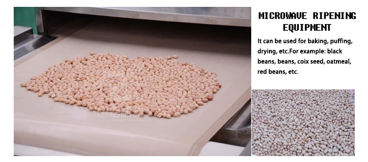 spice drying and sterilizing machine