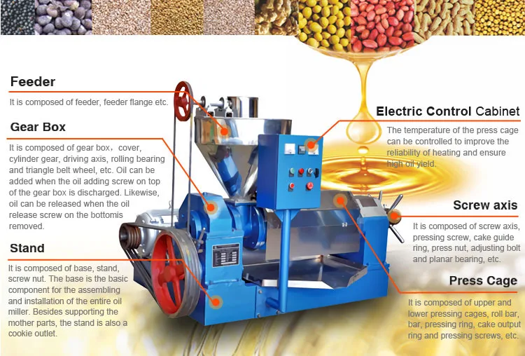 ABC Machinery pumpkin seed tiger nut oil press machine linseed oil processing machine