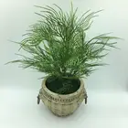 green wall bamboo hanging ornamental plants artificial decorative plant water grass