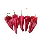Dry Red Chili With Good Taste Bullet Pepper