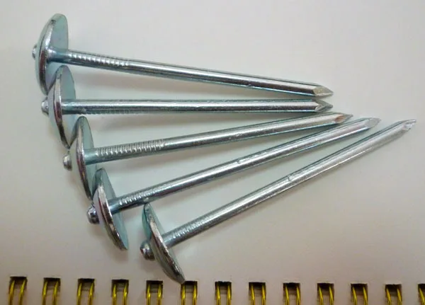 umbrella head roofing nails3.jpg