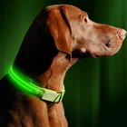 LED Halo Glow Night Light Up Perro for Blue Dog Cat Pet Collar with Free Waterproof in the Dark Usb Flashing Neon