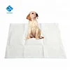 Disposable Puppy Wee Pads Pet Hygiene Clean Products