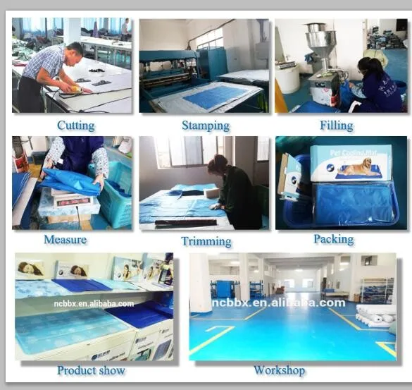 factory pic.jpg