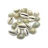 Wholesale Natural Cowrie Sea Shell Beads with Hole Loose in Pack For DIY Making Jewelry Accessory