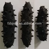 High quality Dried Sea Cucumber For Sale