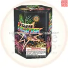 19 shots display unit cake marriage suppliers fireworks