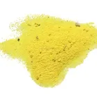 Snacks Seasoning Powder Garlic Flavor in Bulk Package