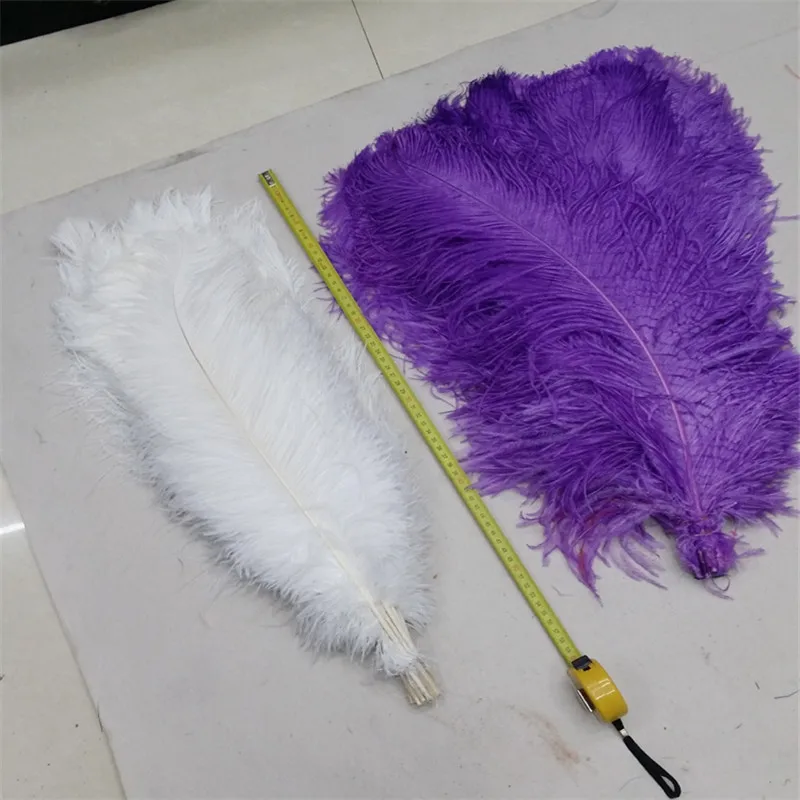 45-50 ostrich feather (1).jpg