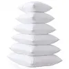 Cheap Hypoallergenic Pillow Insert Form Cushion