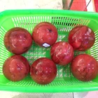 Used for Home decoration Natural quartz crystal Melting Red smelting big stone balls