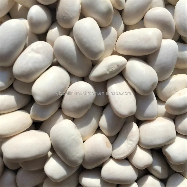 dried bean white kidney bean