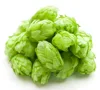 /product-detail/100-natural-hops-flower-extract-60814032044.html