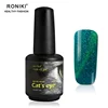 RONIKI Hot custom logo organic cosmetics private label laser cat eye gel polish