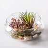 China factory supply oblate round glass fishbowl for home decor little goldfish aquarium fish