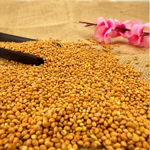 2017 crop yellow glutinous broomcorn millet for bird seeds