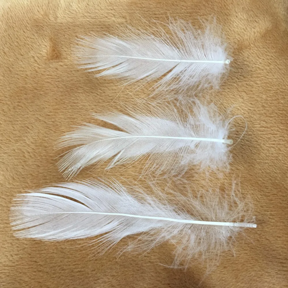 china non-residue manufactureing duck feather