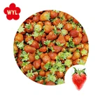 Low price frozen strawberry packing in carton