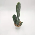 Popular europe simple style faux mini potted plants artificial cactus and succulent in pots