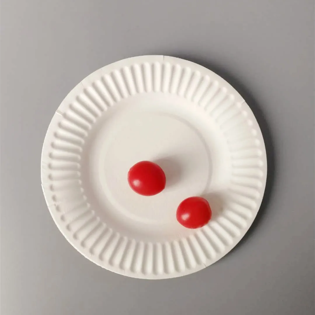 paper dishes wholesale