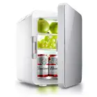 FZS High Quality 8L Makeup Fridge DC12V AC110V 220V Beauty Fridge Mini Refrigerador for Cosmetic Drink