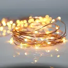 Battery Christmas Copper Wire Led String Light
