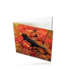 beautiful music wedding greeting cards for invitation