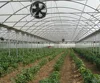/product-detail/high-quality-multi-span-tunnel-greenhouse-for-sale-62152130412.html