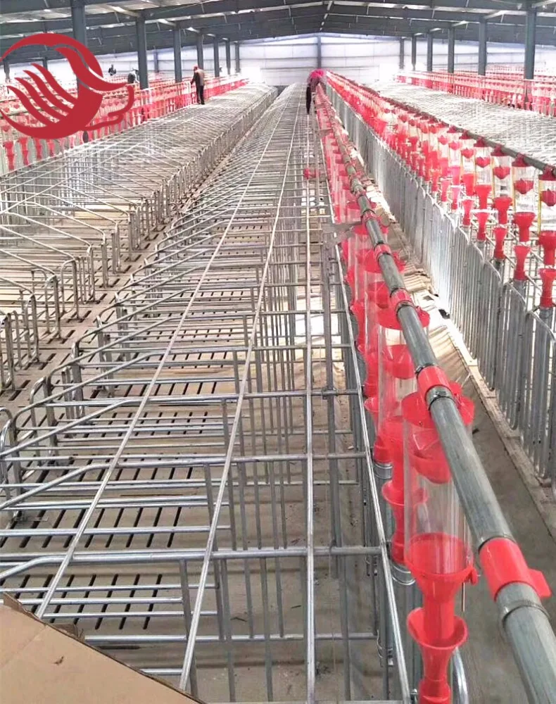 Pig farm equipment galvanizing gestation crate/stall for pig