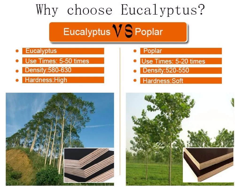 Wasserdichtes Sperrholz,Schalung Platten Aus Holz,Konstruktion