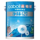 Caboli waterbased paint colors for house interior wall