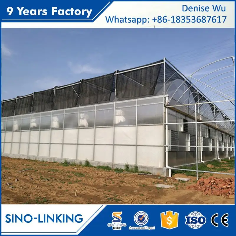 SINOLINKING Agricultural Hydroponic Aeroponics Systems Greenhouse
