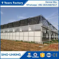 SINOLINKING Agricultural Hydroponic Aeroponics Systems Greenhouse