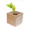 /product-detail/wholesale-magic-message-bean-plant-for-cheap-wood-boxes-less-than-1-dollar-diy-souvenir-items-1557841925.html