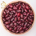 Natural Growth PSKB Pinto Beans Dark Red Specked kidney Beans