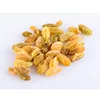 DT-SD-013 new crop Xinjiang China high quality golden sultana kishmish golden raisins dried