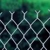 Galvanized PVC coated chain link fence factory wholesale