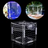 Hot Sale Clear Fish Tank Acrylic Fish Breeding Breeder Isolation Box Aquarium Hatchery Incubator Breeding Boxes for Pet Lover