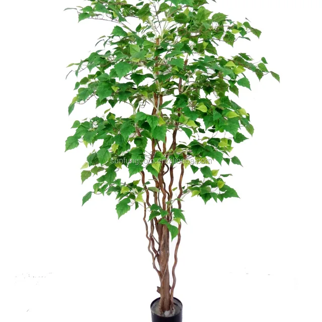 sun fung 60"" birch tree on natural trunk twotone green tree for