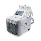 Salon Spa Multifunction Ultrasound Personal Skin Care Aqua Peel Beauty Machine