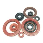 Rod seal nbr material with iron oil seals