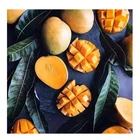 Frozen Mangoes/Frozen Mango Chunks/IQF Mangoes!