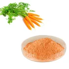 HONGDA Factory Supply Natural Carrot Extract Powder Pure Carotene