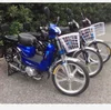 /product-detail/pedal-moped-35cc-50cc-moped-eec-4-euro-iv-60775740451.html