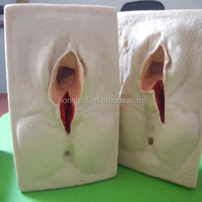 hot sales practice model for vulva suture,training