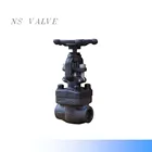 High quality API 602 alloy forge WCB /A105 globe valve 800LB