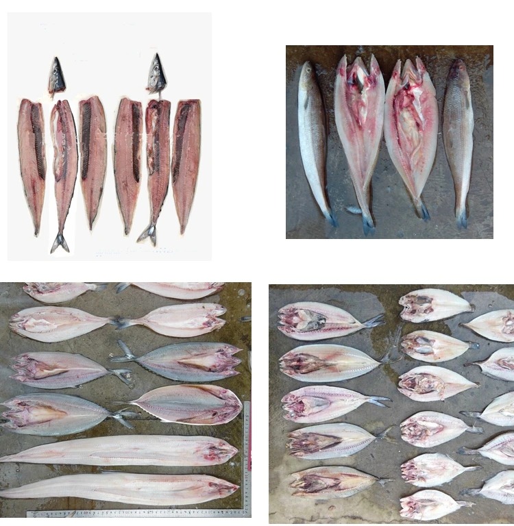 Electric Fish Belly Splitting Cutting Fish Killing Machine Fish Back Opening Machine for Sale