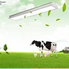 Factory Directly Sale Waterproof 1.5m 50w Low Price Tri-proof Light Poultry Farm LED light Widely Application