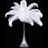 /product-detail/manufacturer-supplier-ostrich-feathers-table-centerpieces-for-wedding-decoration-60793008363.html
